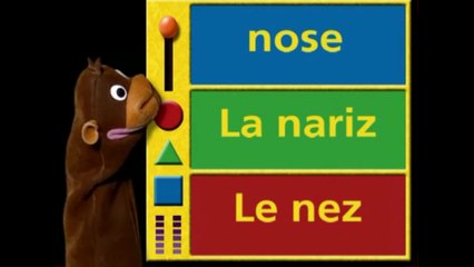 Sesame Street: Baby Da Vanci! Elmo The Monkey Close Up Head To Toe Judge!