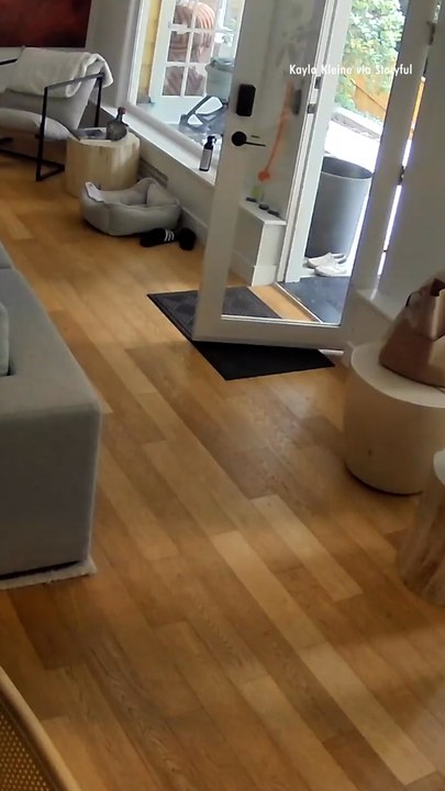 Tiny but Mighty Pomeranian Chases Black Bear Out of Home