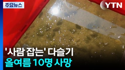 '사람 잡는' 다슬기...올여름 10명 사망 / YTN