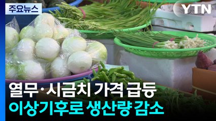 이상기후에 열무·시금치 품귀...식탁 물가도 '들썩' / YTN