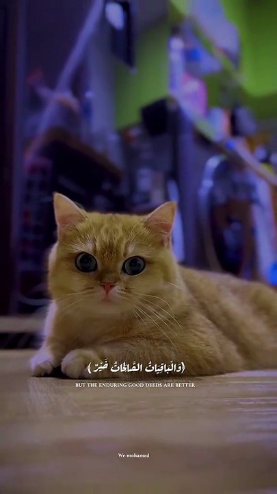 ❤   ```Heart Touching Tilawat ♥️```   #Tilawat_E_Quran_Majeed  | Real Voice | Truth