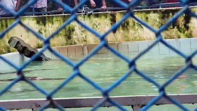 Dhaka Zoo _ Animals, Nature, Birds, Mammals, reptiles, etc.