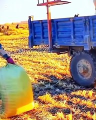 UNBELIEVABLE TOOLS AND ASMR FOREST WIND BG040