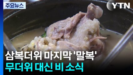 찜통더위 대신 잔뜩 흐린 하늘...보양식·물놀이로 복달임 / YTN