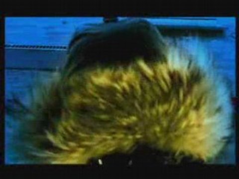 Chub-E-Dis moi que j'mens