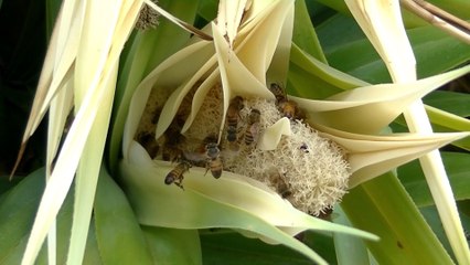 This video can be watched by anyone