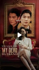 You Look Like My Dead Husband