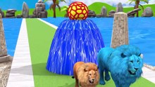 Long Slide Game With Cow Elephant Gorilla Hippopotamus Tiger - 3d Animal Game - Funny 3d Animals - Teodorissimo - FunAnimation