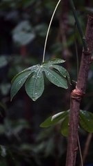 Psychological comfort