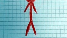 Ninja arancione disegno