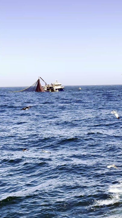 Nature , Ocean and Fishing #sailing#fishinglife#advencure#discover#ocean#fishingboat#boat