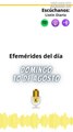 Efemérides | Domingo 10 de Agosto 2025