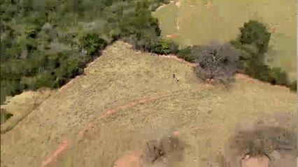 Forças de segurança seguem buscas para localizarem homens que desapareceram no Paraná