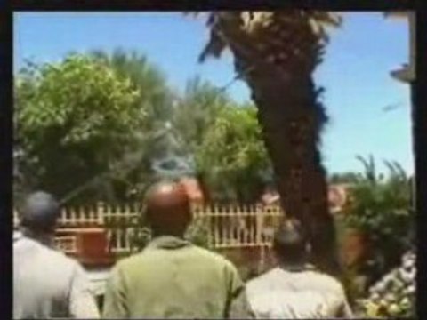 Régis, comment on fait tomber un arbre ?