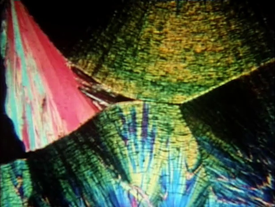 The Invisible World 1979