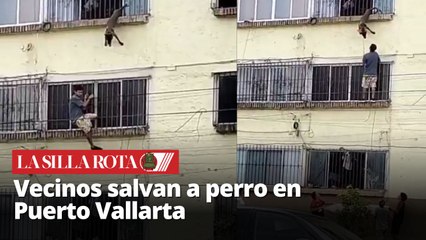 Vecinos salvan a perro atrapado en tercer piso