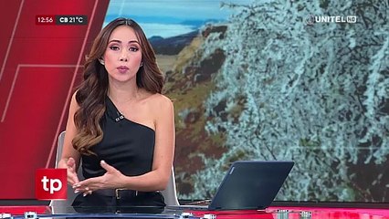 Informe heladas