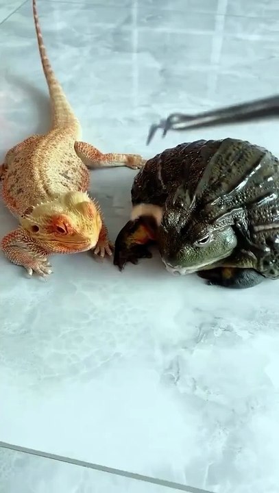 Seizing opportunities vs. Waiting for opportunities