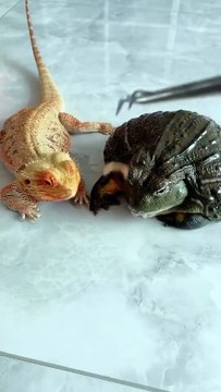 Seizing opportunities vs. Waiting for opportunities