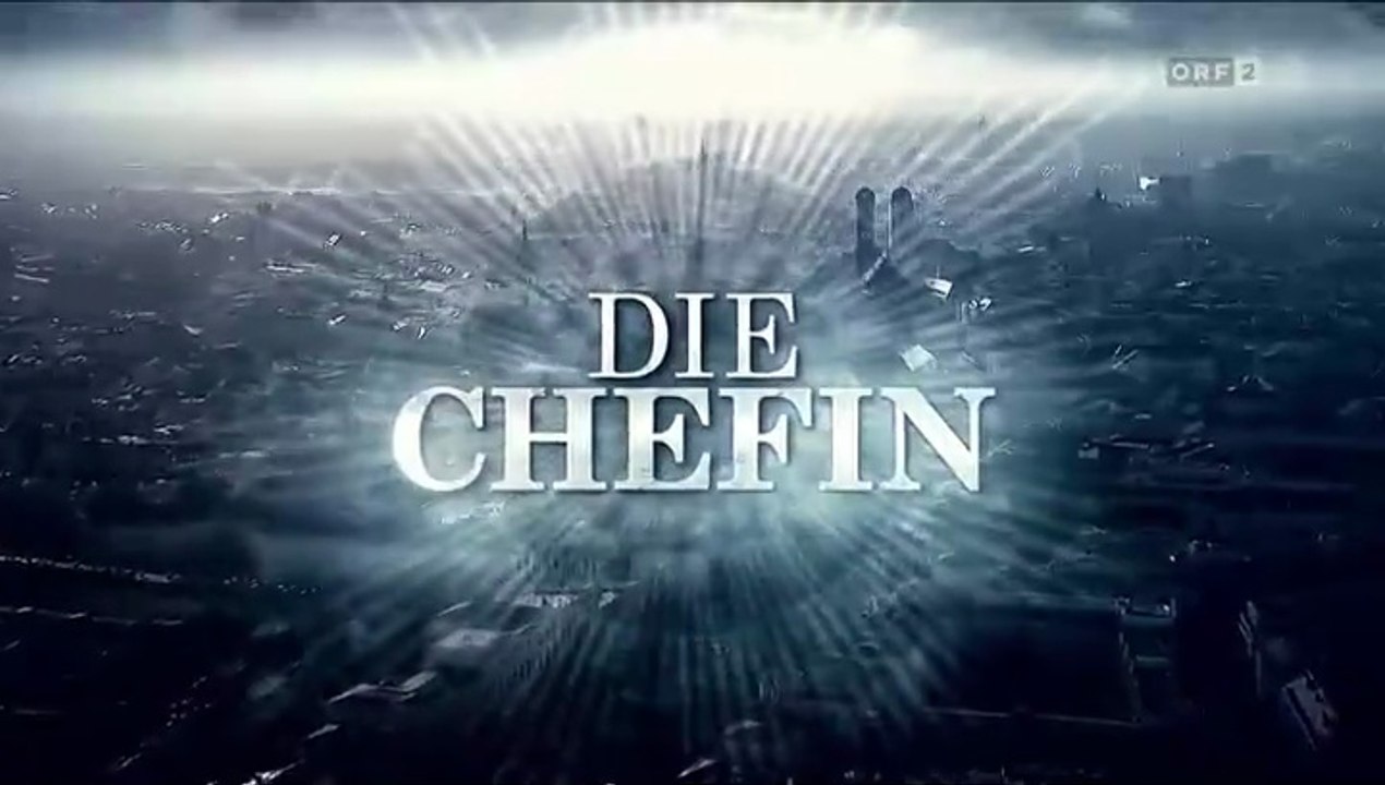 Die Chefin -43- Der Neue