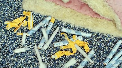 EVERYTHING TO ME Trailer (2025) Judy Greer, Victoria Pedretti