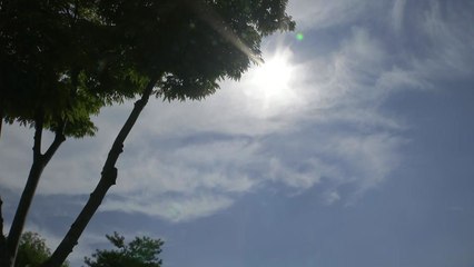 [날씨] 2차 장마 주춤, 또 33℃ 무더위...전국 자외선 ↑ / YTN
