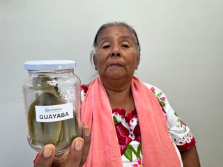Arranca primer consultorio tradicional indígena aprobado por la Cofepris