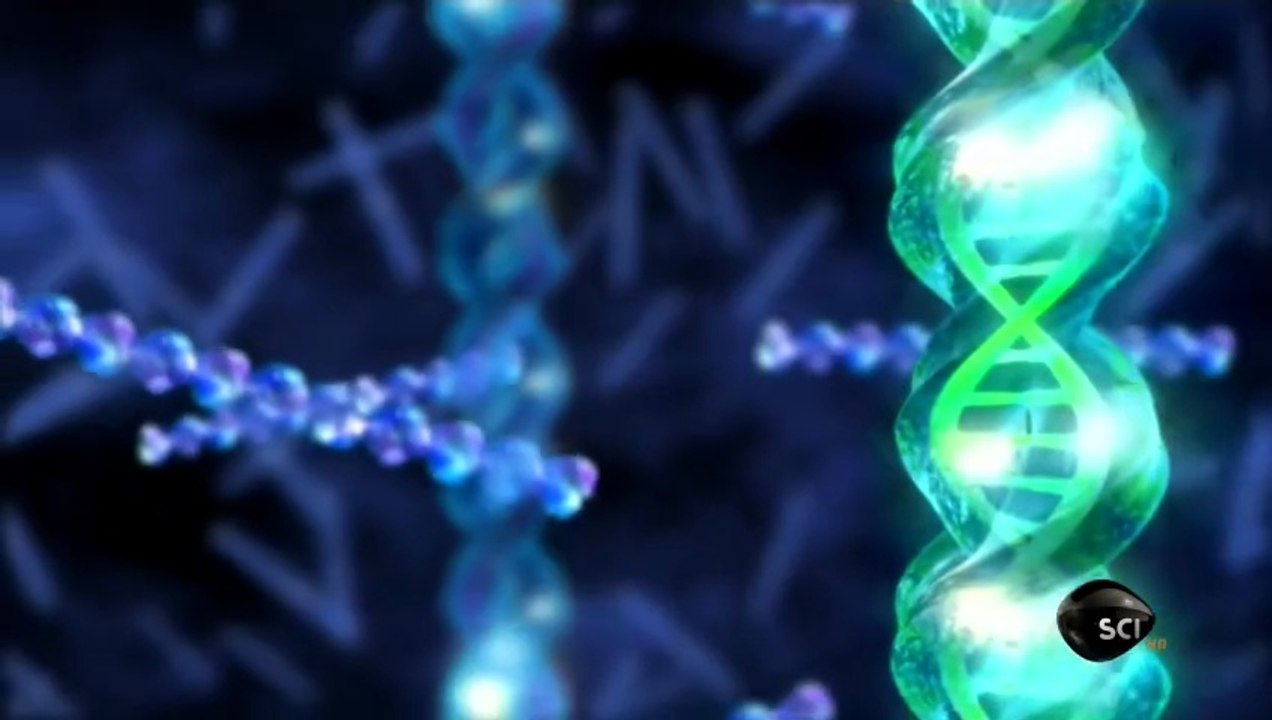 Through The Wormhole Season 4 Episode 10 Did God Create Evolution? | Morgan Freeman