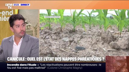 Canicule: quel est l'état des nappes phréatiques ?