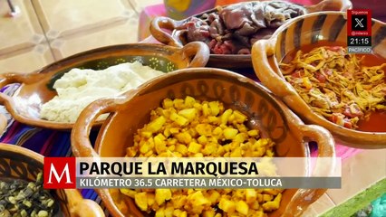 Disfruta un día en familia en el parque ecoturístico 'La Marquesa' a solo 30 minutos de CdMx