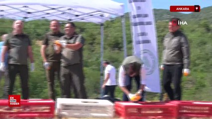 Kenelere karşı mücadele sürüyor: 1 milyona yakın keklik doğaya salındı