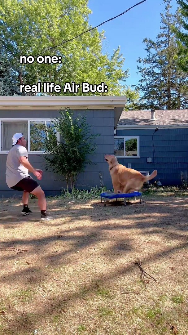 ⁣Funny Pets