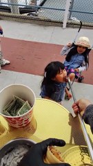 Maraş dondurmacısının oyununa kızmak yerine aşırı sevimli tepkiler veren minik cimcime 😊