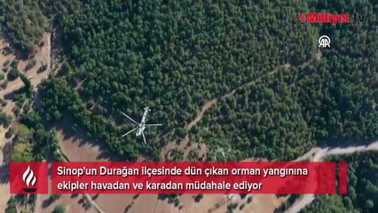 Sinop’taki orman yangınında 2. gün!