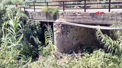 Bafa Gölü ve çevresinde görülen kirlilik korkutuyor