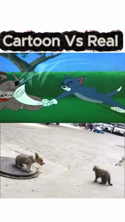 Cartoon Vs Real