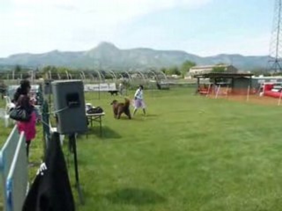 Bouba en Obérythmée