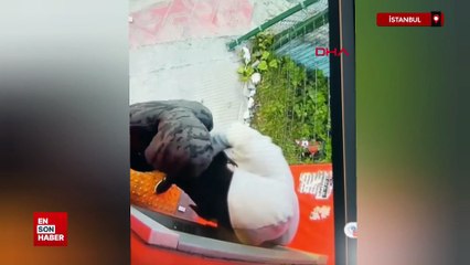İstanbul'da ATM'lerin para haznesini tornavida ile kıran şüpheli tutuklandı