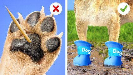 🐶 DIY Auto Water Bottle for Pets! 💧 Easy & Smart