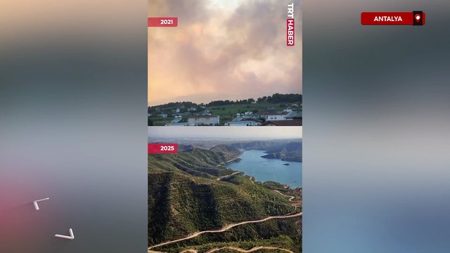 Manavgat'ta 4 yıl önce çıkan orman yangınında küle dönen ormanlık alanlar yeniden yeşerdi