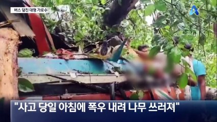 버스 덮친 대형 가로수…5명 사망