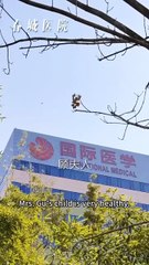 Love Is a Star Falling into the Sea _ 爱意燃尽情 P-1