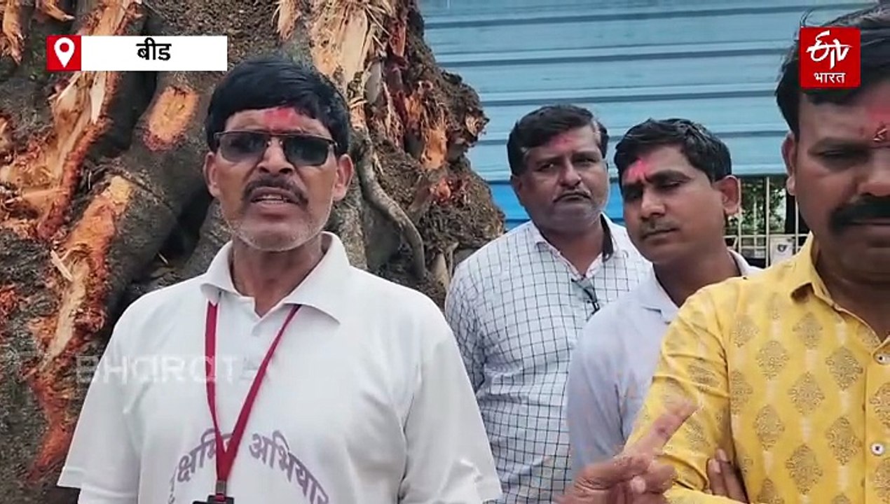 रस्ता रुंदीकरणात शेकडो झाडांची कत्तल; कत्तल होत असलेल्या झाडांचे केले पुनर्रोपण, पाहा व्हिडिओ