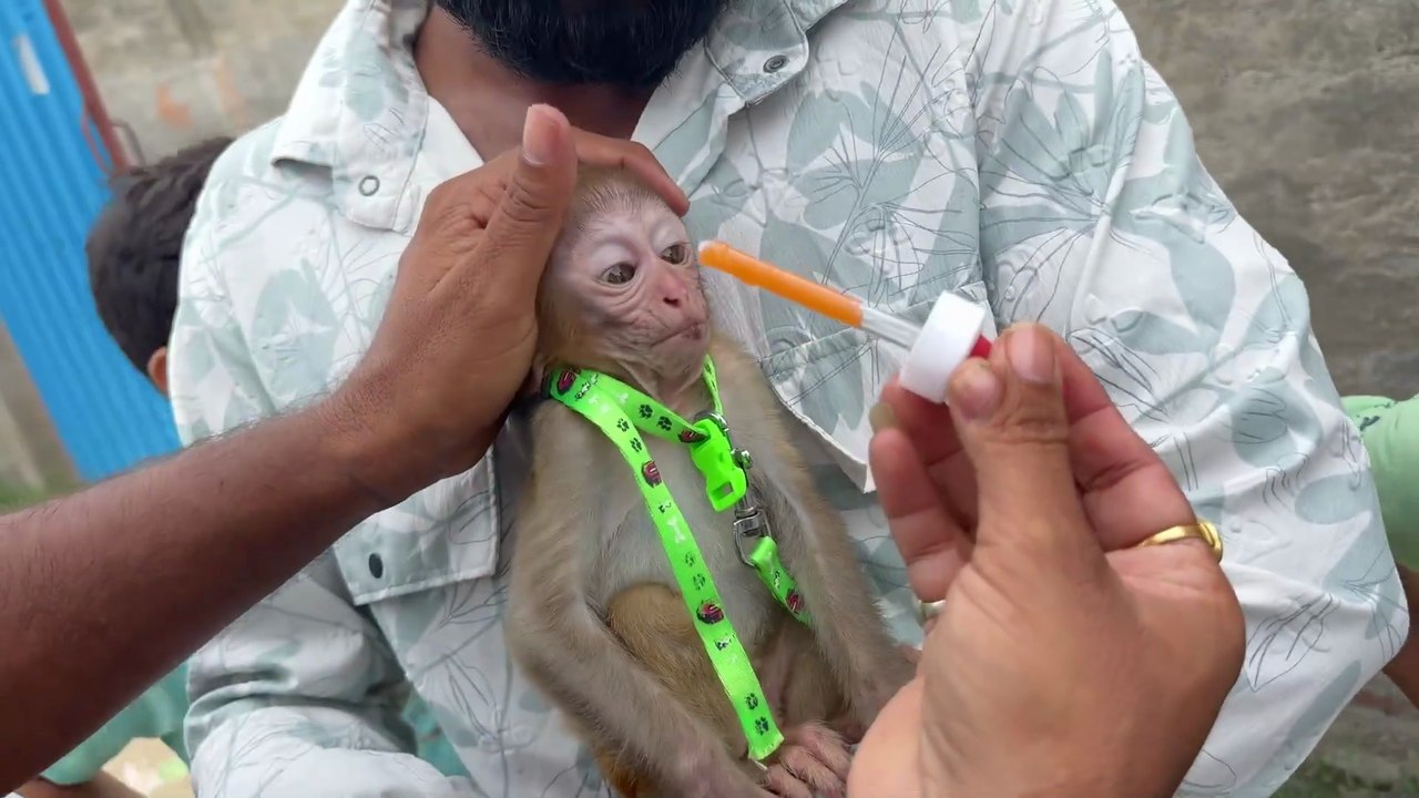 Ye kon aa gaya humare pas ✅ latest video nikku vlogz block blog