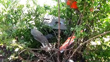 Hafif ticari araç önce ağaca sonra direğe çarptı: 5 yaralı