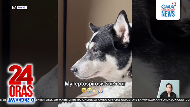 Sawa sa motorsiklo; Pamamaril sa Times Square; Aso ni Heart Evangelista, tinamaan ng Leptospirosis; atbp. | 24 Oras Weekend