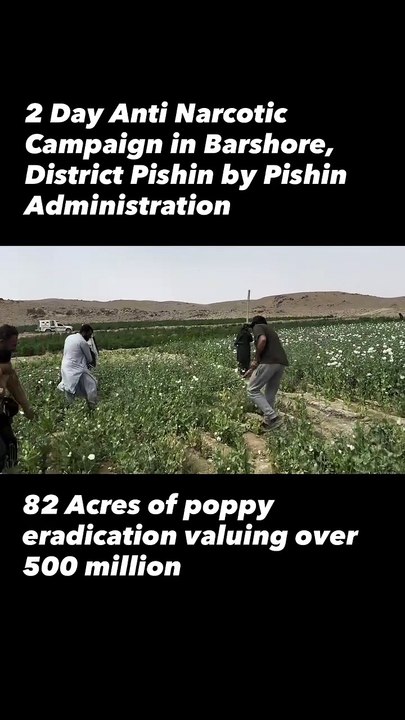 Massive Poppy Eradication Operation in Balochistan: Fighting Drug Cultivation in Toba Kakri
