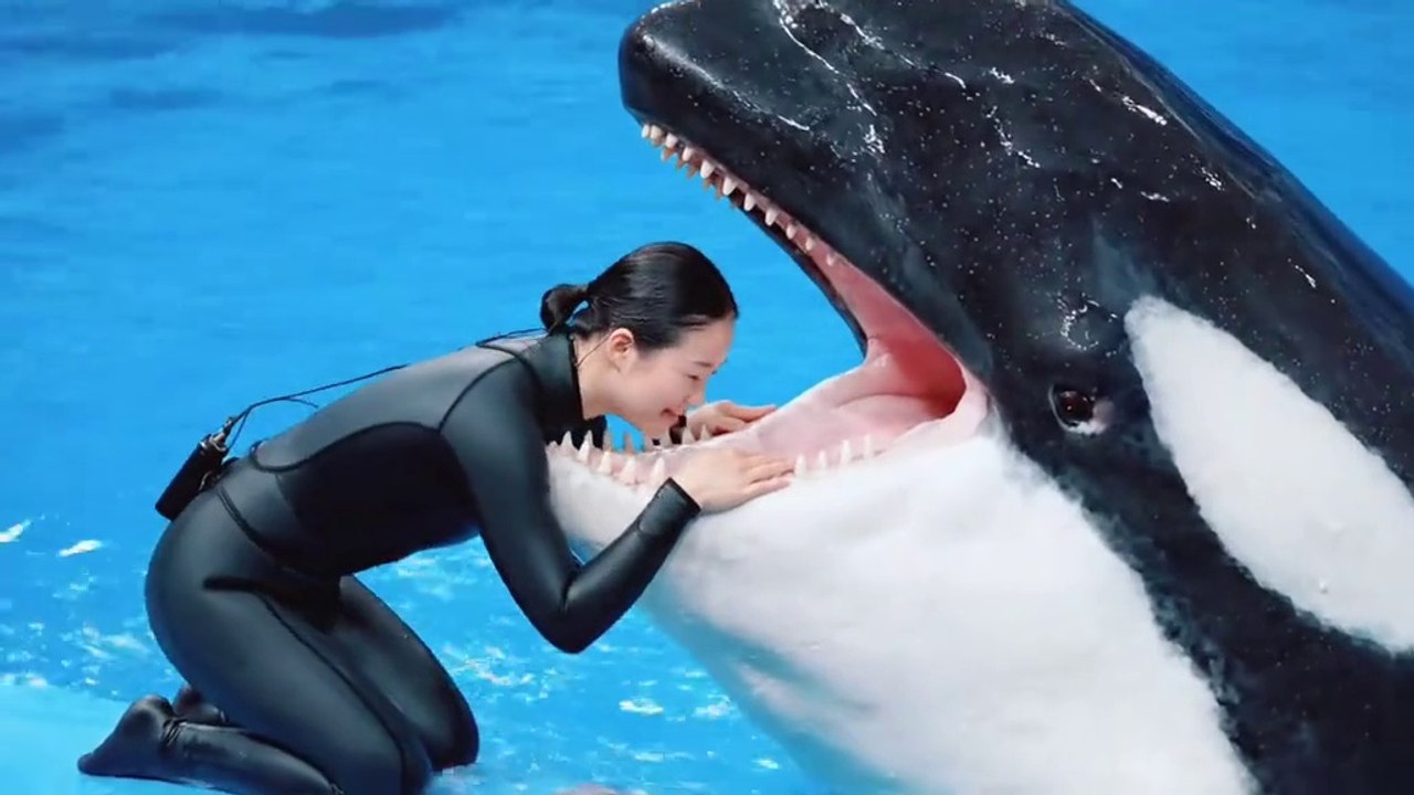 Dolphin has killed Jasica😭