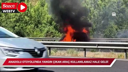 Anadolu Otoyolu'nda yangın çıkan araç kullanılamaz hale geldi