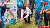 ইটিভি ভারতের খবরেই অনুপ্রেরণা, 'আসান' গাছে ভরে উঠছে আসানসোল